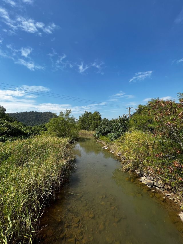 東澳古道｜4小時行山徑｜東涌行到大澳｜約14公里 🍂