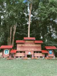 พาลุยทุ่งแสลงหลวง 🏔️