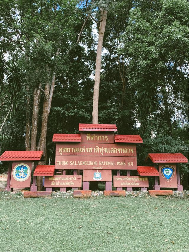 พาลุยทุ่งแสลงหลวง 🏔️