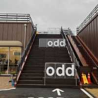 트리와 함께 즐기는 파주 신상카페(odd)