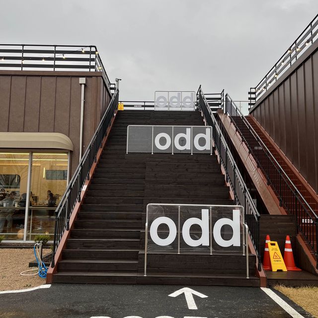 트리와 함께 즐기는 파주 신상카페(odd)