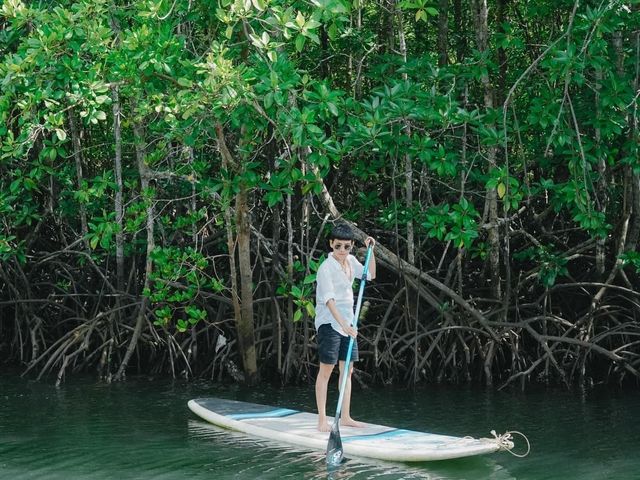 Escape Life Koh Kood ที่พักสุดชิลฟีลป่าโกงกาง