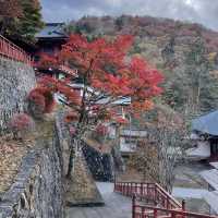 【日光】紅葉時期は特に大人気‼︎中禅寺湖と山を感じてみて🥰