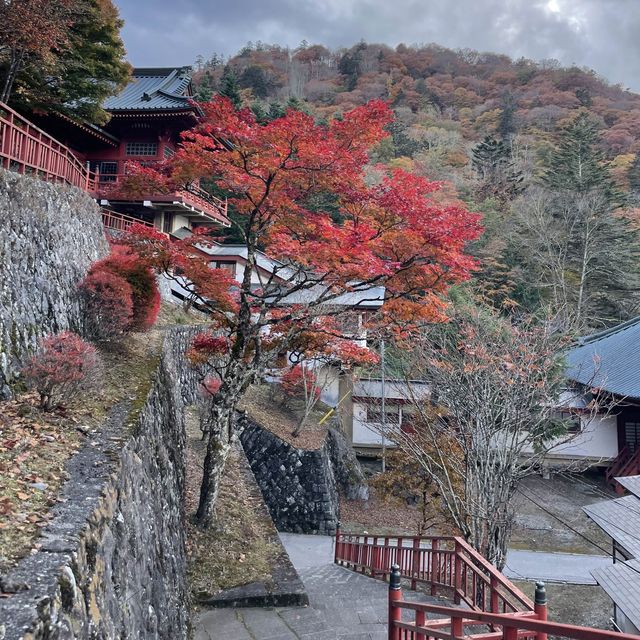 【日光】紅葉時期は特に大人気‼︎中禅寺湖と山を感じてみて🥰
