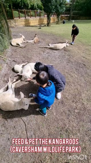 Best Family Friendly Destination