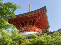 【福岡　如意輪寺】🐸かえる寺🐸