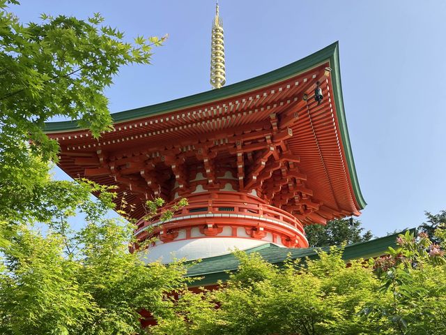 【福岡　如意輪寺】🐸かえる寺🐸