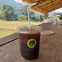 กาแฟสบขุ่น ช้างเผือกกลางป่าลึก! 