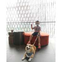 Dogcation ·W Hotel
