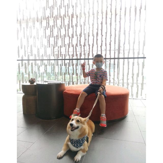 Dogcation ·W Hotel Dogcation ·W Hotel