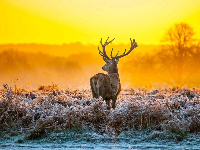 Explore Hoge Veluwe National Park
