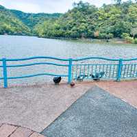 宜蘭 | 「龍潭湖特定風景區」，園區內有超多白鷺鷥棲息，還有悠遊在湖畔的鴨子群