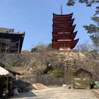🇯🇵일본 히로시마🇯🇵