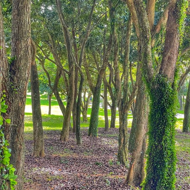 Bishan - Ang Mo Kio Park