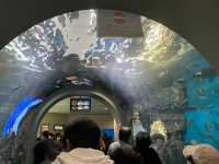 名古屋の水族館といえばココ🐠！【名古屋港水族館】
