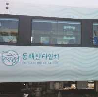 해변열차가 타고싶을 땐? <정동진 해변열차>