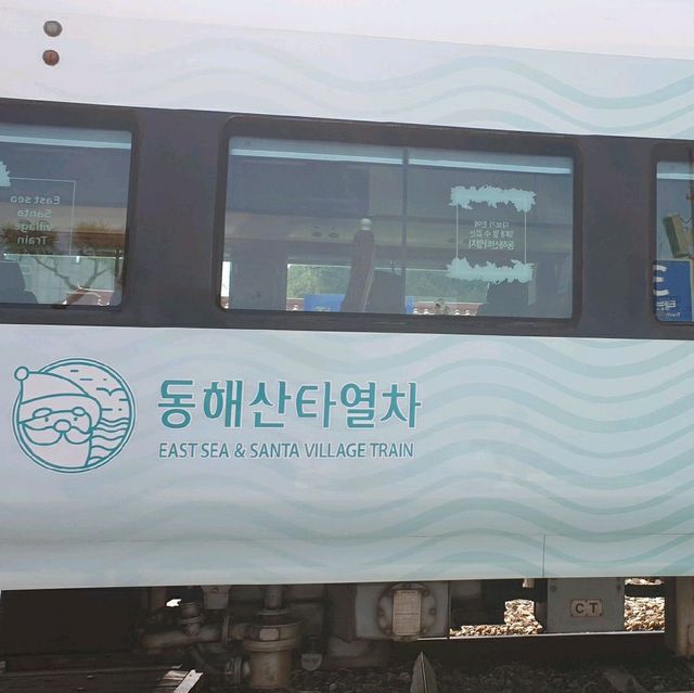 해변열차가 타고싶을 땐? <정동진 해변열차>
