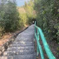 坪洲必行路線
