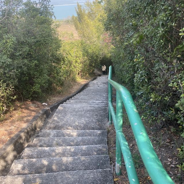 坪洲必行路線