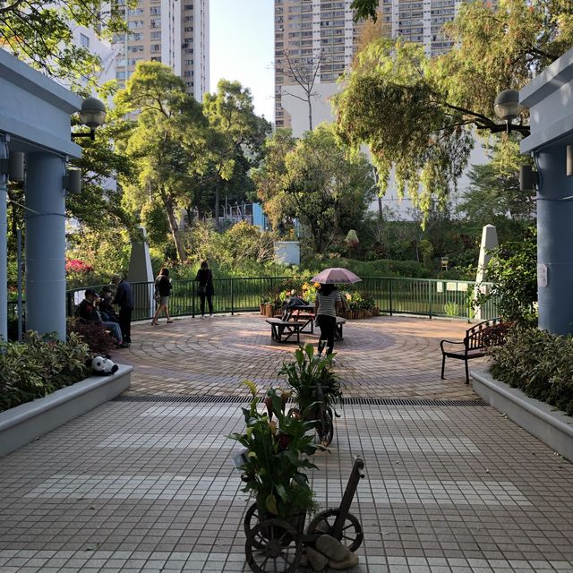 🌲荃灣後花園🌹尋找復活兔🐰