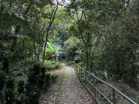 康樂山親山步道｜湖水城景盡收眼底❤️‍🔥