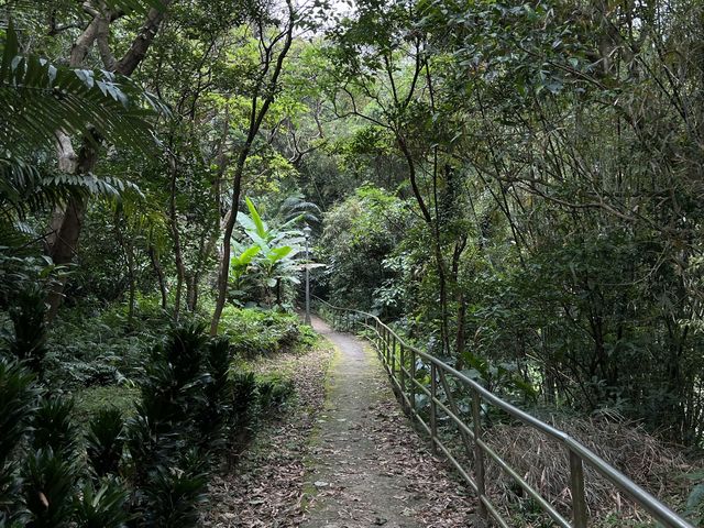 康樂山親山步道｜湖水城景盡收眼底❤️‍🔥