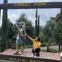 Dahilayan Forest Park Resort 🍃
