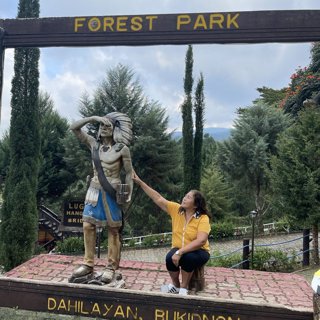 Dahilayan Forest Park Resort 🍃