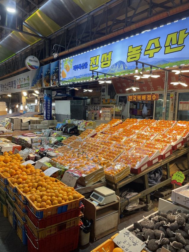 제주도에서 안가면 큰일나는(?) 곳