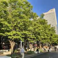 都市部の観光地の中にある自然豊かな公園