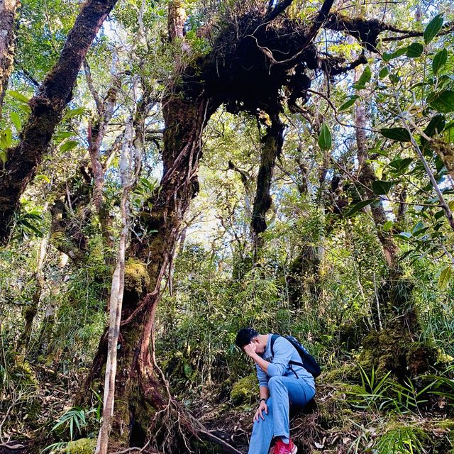 hiking in kundasang- maragang hill 