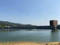 帶你近距離欣賞大欖水塘