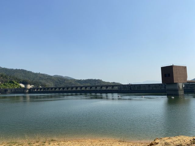 帶你近距離欣賞大欖水塘