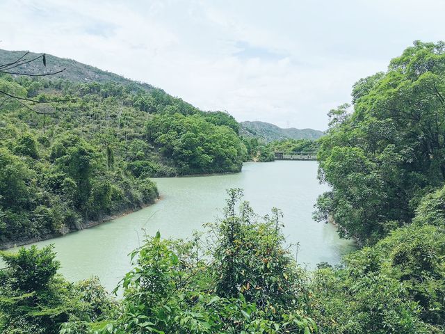 黃泥墩水塘