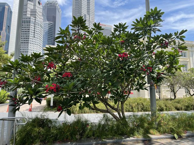 Museum park