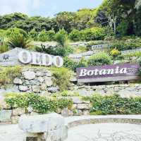 Odeo Island Botanical Garden, Geoje