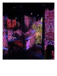 澳門｜Teamlab 打卡👍🏻正
