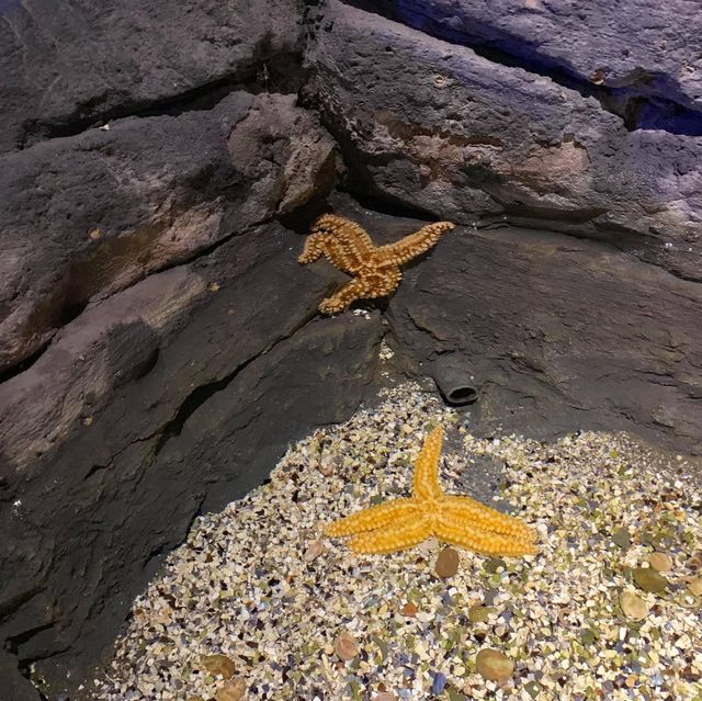 Seville aquarium 