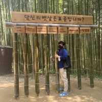담양 죽녹원 대나무 숲길을 걸어보아요🎋