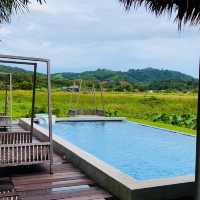 Stay beside paddy field in Langkawi