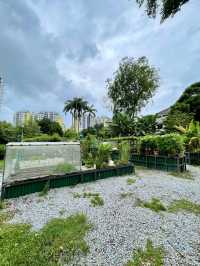 Allotment Garden @ Punggol Park