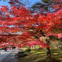 【京都府】秋の南禅寺三門から絶景をたのしむ