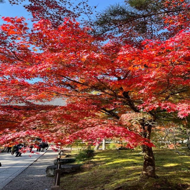 【京都府】秋の南禅寺三門から絶景をたのしむ