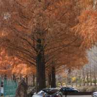 Daejeon Autumn Place