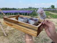 💐I love flower farm💐 เชียงใหม่