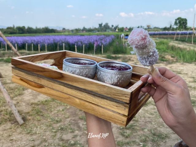 💐I love flower farm💐 เชียงใหม่
