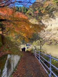 【秋の絶景】千葉の養老渓谷で秋の紅葉を味わってきた！