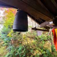 秋は紅葉の【永観堂】✨