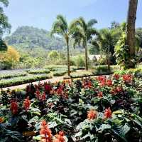Green Jungle Resort