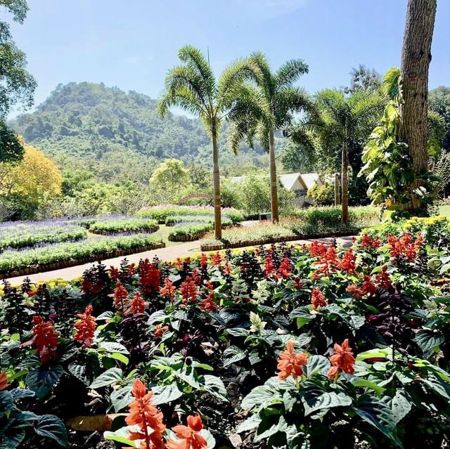 Green Jungle Resort